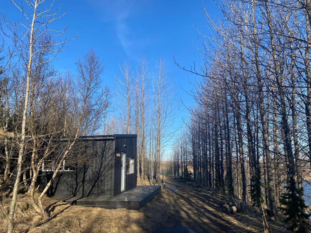 Audkula Dome Cabin Apartment Hella Exterior photo