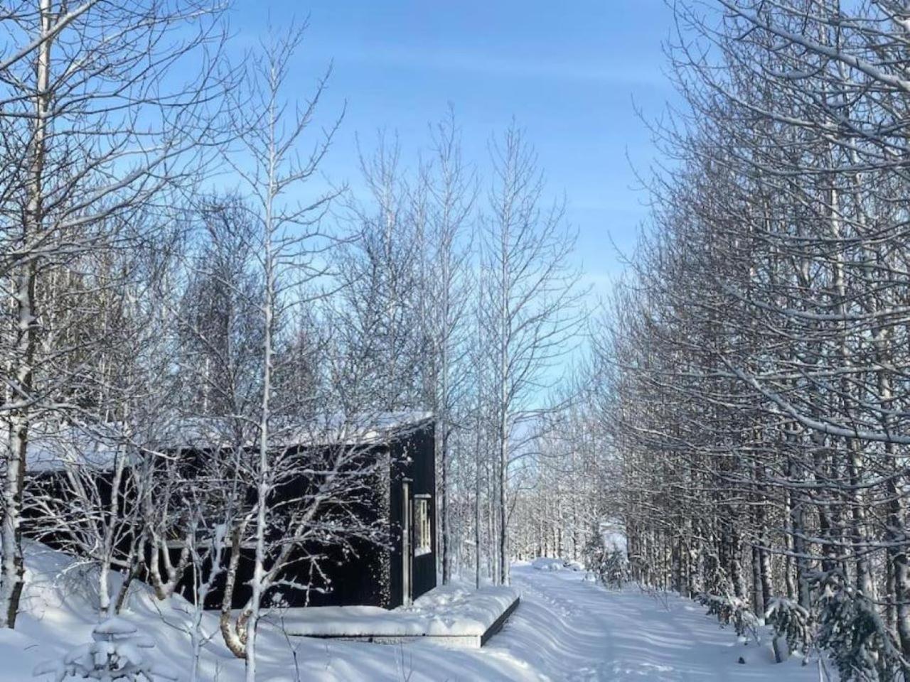 Audkula Dome Cabin Apartment Hella Exterior photo